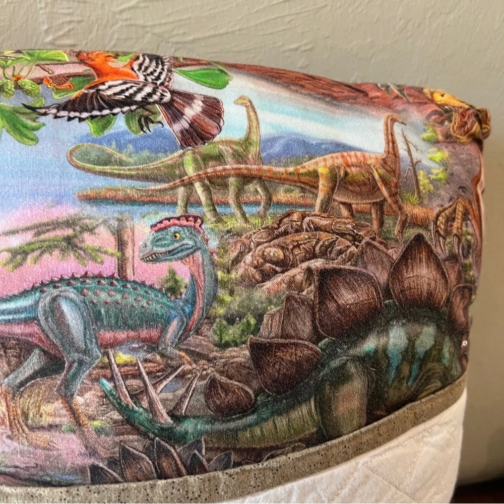 Lets Read Dinosaur Pillow Decorative Kids Decor Throw Accent Embroidered 13